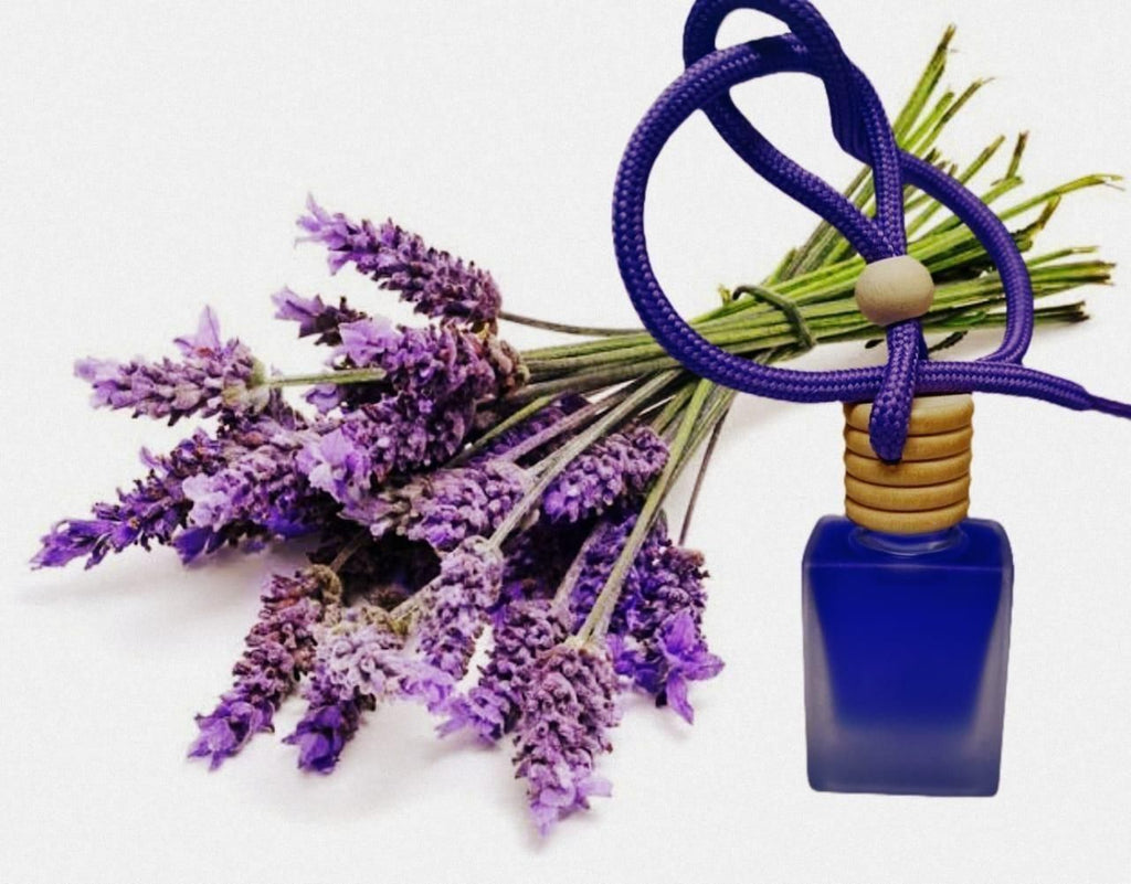 Hanging Car Perfume Pods Diffuser Scent - Assorted Fragrance Air Freshener