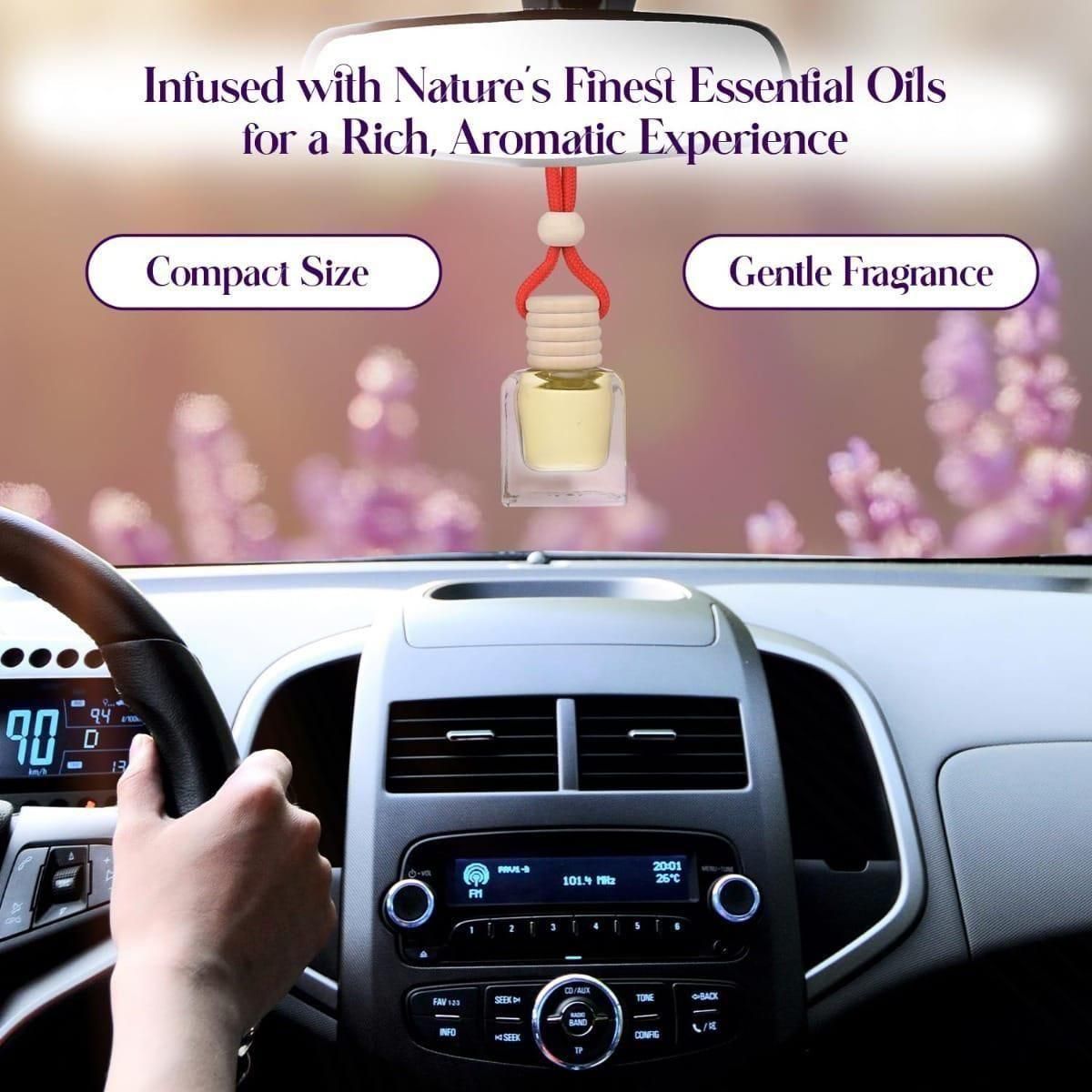 Hanging Car Perfume Pods Diffuser Scent - Assorted Fragrance Air Freshener